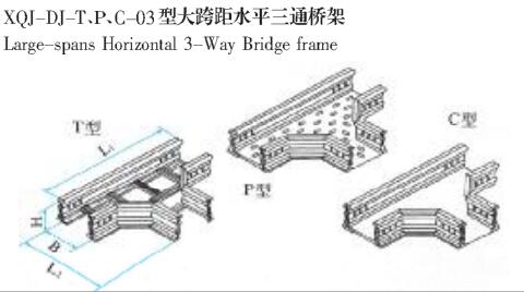 XQL-DJ-TPC-03ʹˮƽͨ